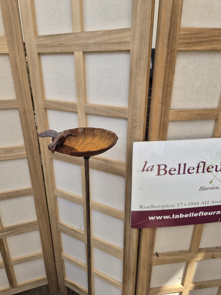 Tuinsteker kolibri klein